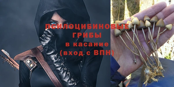 бошки Алексеевка