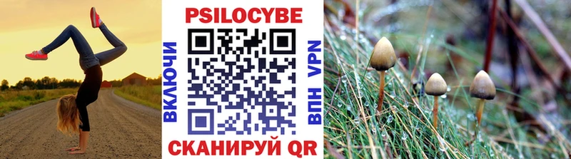 Галлюциногенные грибы MAGIC MUSHROOMS  Усть-Илимск 